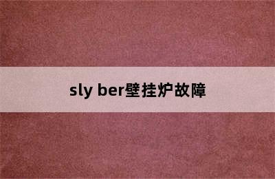 sly ber壁挂炉故障